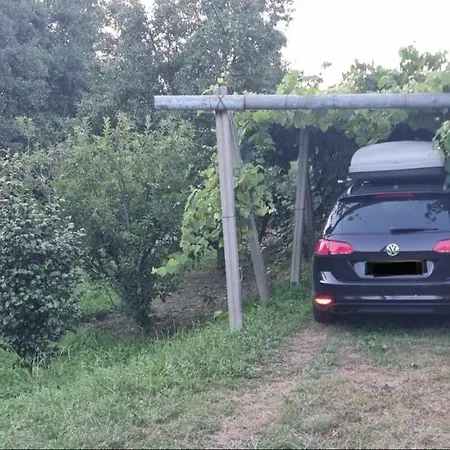 A Casa De Abaixo Loira Marín