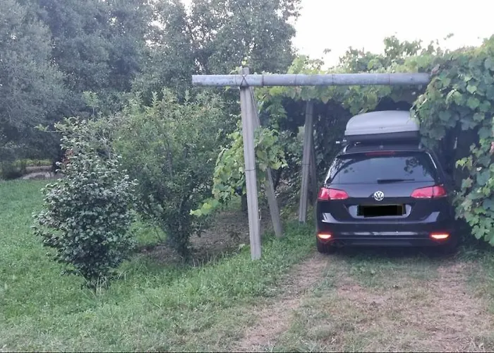 A Casa De Abaixo Loira Marín